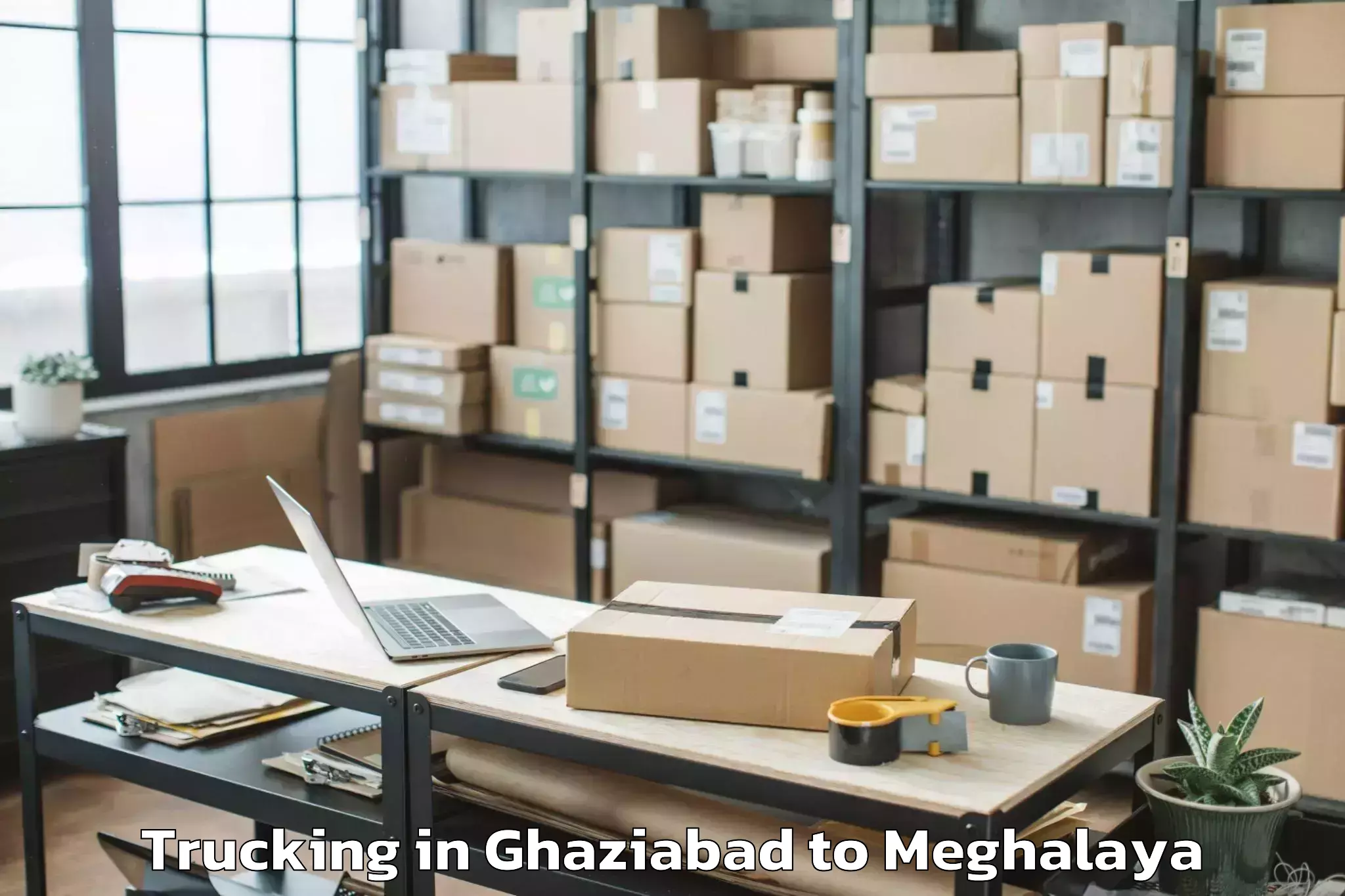 Professional Ghaziabad to Ampati Trucking